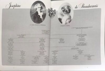 Histoires de familles royales/ imperatrice josephine -louis philippe et leurs descendances de 1800 à nos jours