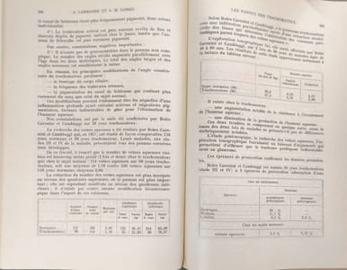 Les pannus des trachomateux