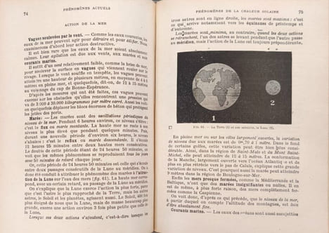 Les sciences naturelles du brevet supérieur - garçons et filles - première année anatomie et physiologie végétales classification des végétaux ...