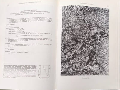 Microfaciès du Jurassique d'Aquitaine