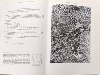 Microfaciès du Jurassique d'Aquitaine