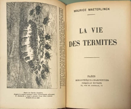 La vie des termites. M. Maeterlinck