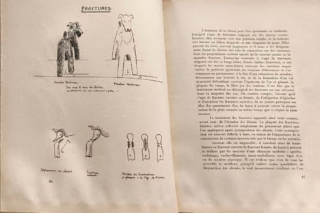 Le chien et sa médecine - EO. Paul Vaugien