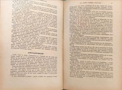 Les grandes endémies tropicales - 4ème année