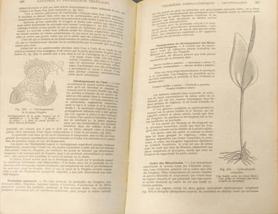 Anatomie et physiologie végétales suivies de l'étude élémentaire des principales familles de la bactériologie et des fermentations