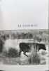 La Camargue - photographies de Mich&egrave;le Brabo et Serge Holtz - couverture d'Yves Brayer. Michel Droit