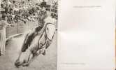 La Camargue - photographies de Mich&egrave;le Brabo et Serge Holtz - couverture d'Yves Brayer. Michel Droit