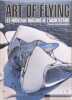 Art of Flying: Les nouveaux horizons de l'architecture. David Rosenberg