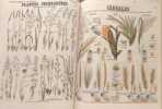 Le&ccedil;ons de choses - Tome 1. Broglie Louis Albert de  Deyrolle