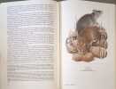 Mammif&egrave;res d'Europe Tome 1 : Insectivores Chauves souris Primates. Dieter Burckhardt / Paul Barruel