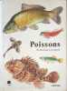 Poissons 256 illustrations en couleurs. Collectif