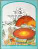 Sanctuaires de la vie marine: Mer M&eacute;diterran&eacute;e. Denhez Fr&eacute;d&eacute;ric  Rives Claude