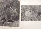 La chasse silencieuse. Jaroslav Holecek