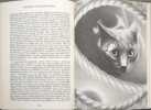 Histoires extraordinaires : Extraits (La Galaxie). Edgar Allan Poe