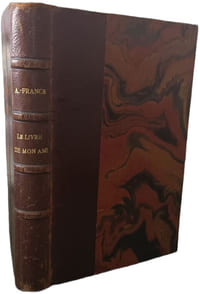 Le livre de mon ami