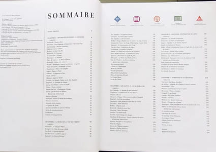 Le langage secret de la peinture: 75 Chefs d 'oeuvre dévoilés