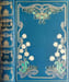 Les chefs-d'oeuvre de guy de maupassant- num&eacute;rot&eacute; 1119/1500 ( 13 tomes). GUY DE MAUPASSANT