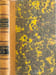 Cours de l'histoire de la philosophie moderne ( 3 tomes). M. Victor Cousin