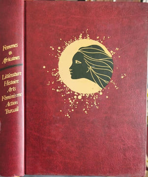 Femmes africaines : Propos recueillis par Annette Mbaye d'Erneville sur les thèmes de Femmes et Société suivi de Une si longue lettre par Mariama Bâ. ...