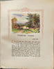 Werther - num&eacute;rot&eacute; sur v&eacute;lin - illustrations dde andr&eacute; hofer. Wolfgang Goethe