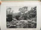 A Handy Book of Horticulture. F. C. Hayes