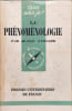 La ph&eacute;nom&eacute;nologie. Jean-F. Lyotard