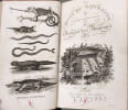 Le cabinet du jeune naturaliste ou Tableaux int&eacute;ressans de l'histoire des animaux T6. M. Thomas Smith