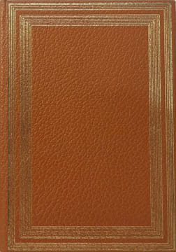 Histoire de la peinture - 549 planches en couleurs. Michael Levey