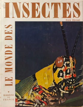 Insectes. Paul Pesson