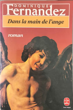 Dans la main de l'ange : roman. Fernandez-d