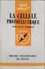 La cellule photo&eacute;lectrique. Jean Terrien