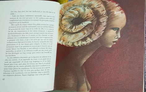 Les paradis artificiels ( + sa suite : lithographies de Salmon) exemplaire numéroté 139/1200 sur papier lana royal signé par l'illustrateur