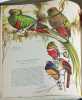 Oiseaux - panorama des 27 ordres et 155 familles du monde avien. Oliver Austin  Jr