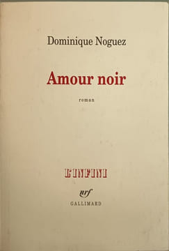 Amour noir - Prix Femina 1997. Noguez D