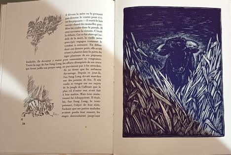 La cour des miracles : histoires de bêtes. Willy A. Prestre