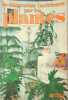 La d&eacute;coration int&eacute;rieure par les plantes. Du Coffre Marguerite