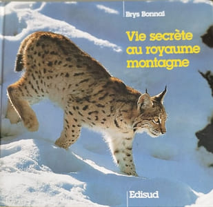 Vie secrète au royaume montagne