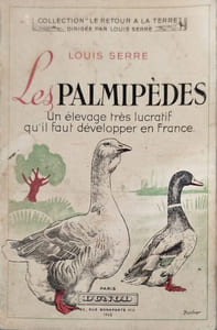 Les palmipèdes : Un élevage très lucratif qu'il faut développer en France