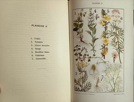 Médecine et hygiène populaire à la portée de tous. Traité de l'emploi pratique de la médecine naturelle homéopathie biochimie médecine de plantes ...