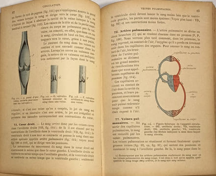 Biologie animale; Anatomie et physiologie animales; Philosophie A et B; Mathématiques A et B; Baccalauréats. Gaston Bonnier