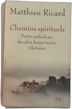 Chemins spirituels : Petite anthologie des plus beaux textes tibétains. Matthieu Ricard
