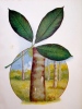 L'Organisation agricole au Brésil. Avec un avant-propos de Aff. Bandeira de Mello.. LEDENT (Armando)