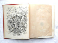Pique-Toto, la paix et la guerre, Librairie Furne, Jouvet et Cie, éditeur - Paris, 1888