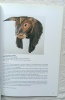 Esperits i d&eacute;us d'Africa (Esprits et dieux d'Afrique), Caixa de Girona - Centre cultural de Caixa de Girona, catalogue de l'exposition pr&eacute;sent&eacute;e du 20 ...