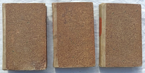Dictionnaire critique des reliques et des images miraculeuses, en 3 tomes, Guien et compagnie, libraires - Paris, 1821, suivi du Traité des reliques ...