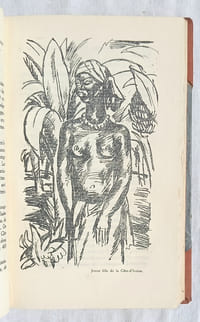 Afrique Occidentale Française, Société Française d'Edition, collection des "Terres Françaises", 1931