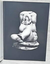 Catalogue de l'exposition : "sculptures" présentée du 18 novembre 1989 au 18 janvier 1990 à Galerie Garig Basmadjian à Paris, 1989