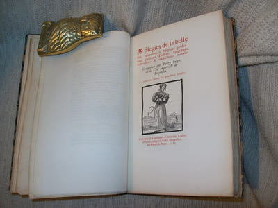 LES ELEGIES DE LA BELLE FILLE LAMENTANT SA VIRGINITE PERDUE.