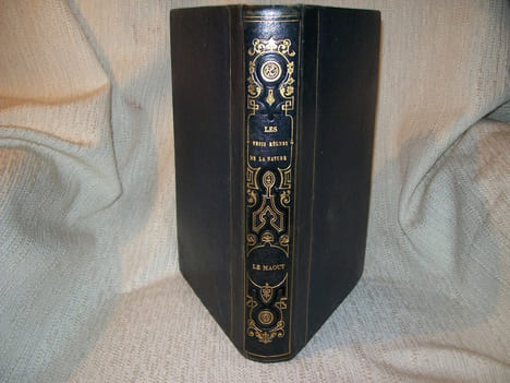 BOTANIQUE organographie et taxonomie, histoire naturelle des familles végétales et des principales espèces suivant la classification de M Adrien de ...