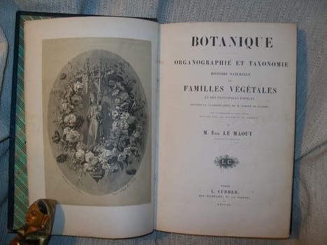 BOTANIQUE organographie et taxonomie, histoire naturelle des familles végétales et des principales espèces suivant la classification de M Adrien de ...
